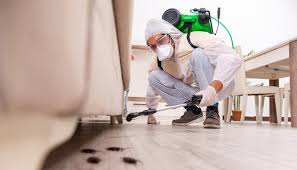 Real Estate Pest Inspections in Rocky Point, NY